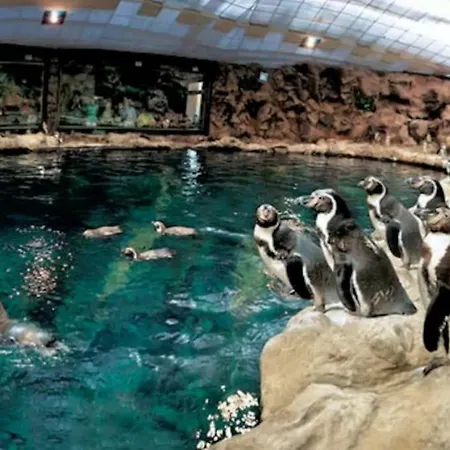 In Playa De Americas 1 公寓 *