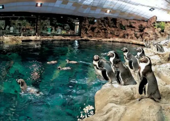 In Playa De Americas 1 Apartamento *